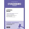 La Intervención Profesional en el Proceso Penal