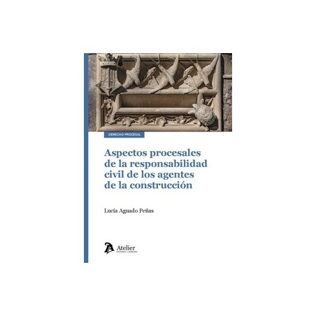 Aspectos procesales de la responsabilidad civil de los agentes de la construcción