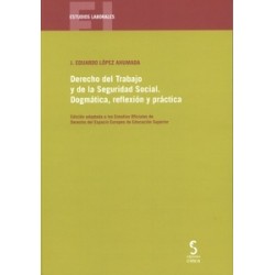Derecho del Trabajo y de la Seguridad Social. Dogmática, Reflexión y Práctica.