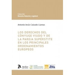 Derechos del Cónyuge Viudo y de la Pareja Supérstite en los Principales Ordenamientos Europeos