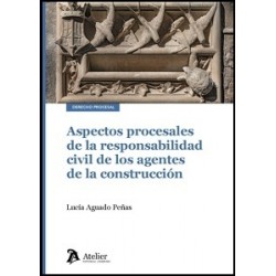 Aspectos Procesales de la Responsabilidad Civil de los Agentes de la Construcción