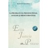 La prueba en el proceso penal. Análisis jurídico-procesal
