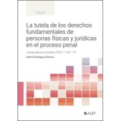 La Tutela de los Derechos Fundamentales de Personas Físicas y Jurídicas en el Proceso Penal...