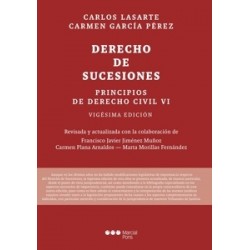 Principios de Derecho Civil 'Tomo VI. Sucesiones'