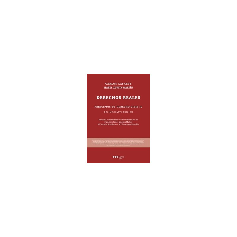 Principios de Derecho Civil 'Tomo IV. Derechos reales'