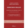 Principios de Derecho Civil 'Tomo IV. Derechos reales'