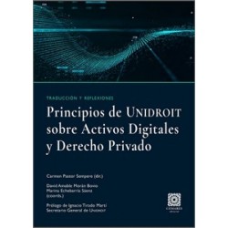 Principios de Unidroit sobre los Activos Digitales y Derecho Privado