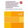 La Responsabilidad Internacional del Estado por Violaciones Masivas de 'Derechos Humanos y los Límites de la Justicia Internaci