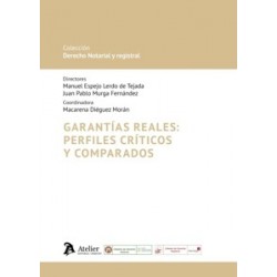 Garantias Reales Perfiles Criticos y Comparados 'Colección Derecho Notarial y Registral'