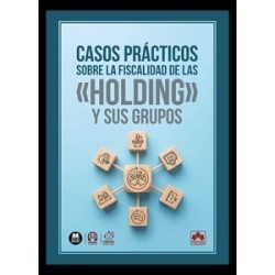Casos prácticos sobre la fiscalidad de las  holding  y sus grupos