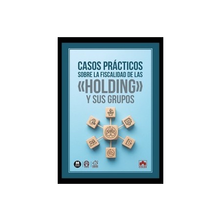 Casos prácticos sobre la fiscalidad de las  holding  y sus grupos