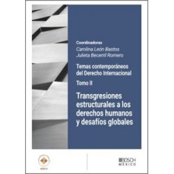 Transgresiones Estructurales a los Derechos Humanos y Desafíos Globales 'Tomo Ii. Temas...
