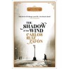 The shadow of the wind