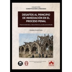 Desafíos al principio de inmediación en el proceso penal 'Presencia telemática, videoconferencia...