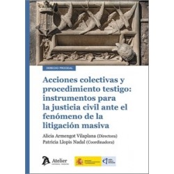 ACCIONES COLECTIVAS Y PROCEDIMIENTO TESTIGO 'INSTRUMENTOS PARA LA JUSTICIA CIVIL ANTE EL FENÓMENO...