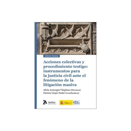 ACCIONES COLECTIVAS Y PROCEDIMIENTO TESTIGO 'INSTRUMENTOS PARA LA JUSTICIA CIVIL ANTE EL FENÓMENO DE LA LITIGACIÓN MASIVA'