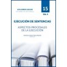 Ejecución de Sentencias. Aspectos Procesales de la Ejecución 'Tomo 15. Vol.1. Los Libros Azules De Derecho De Familia'