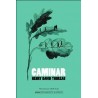Caminar