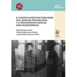 El Experto en Reestructuraciones en el Derecho Preconcursal y el Procedimiento Especial para...
